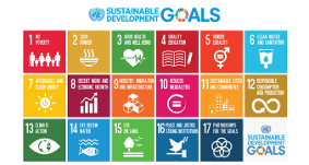 독후활동 '국가 지속가능발전 목표 SDGs'